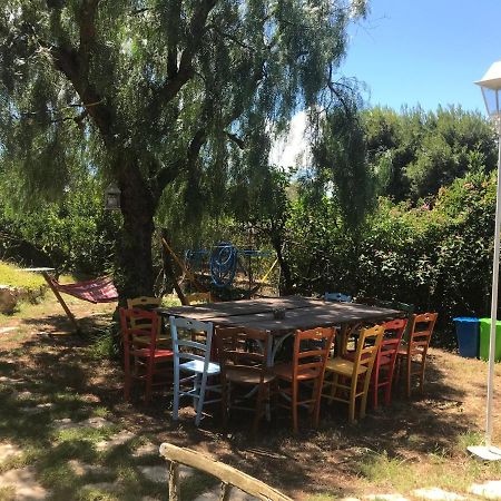 La Pappaghezza Bed & Breakfast Bari Dış mekan fotoğraf
